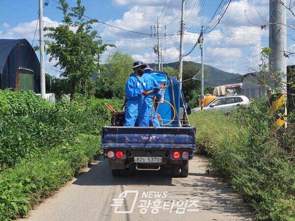 과림동_미국흰불나방방제(사진제공=과림동 행정복지센터)