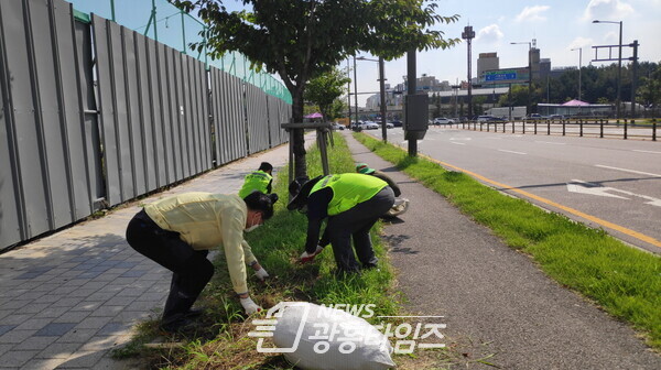 배곧2동_제초방역활동(사진제공=배곧2동행정복지센터)