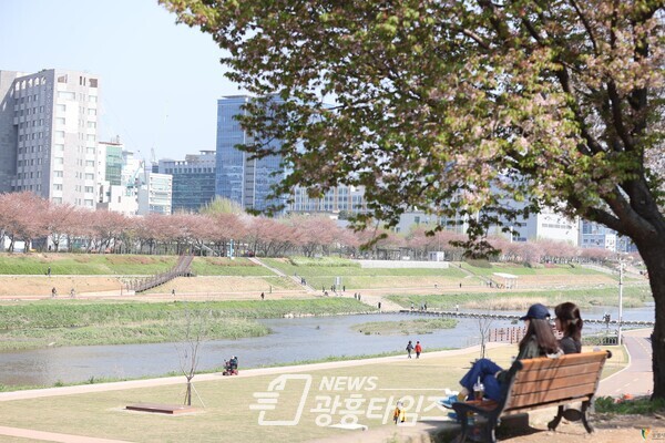 광명시는 오는 31일 오후 3시 시민회관 대공연장에서 안양천 지방정원 지정 및 조성계획 수립에 관한 주민 공청회를 개최한다(제공=광명시)