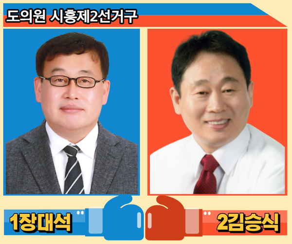 제2선거구 장대석, 김승식