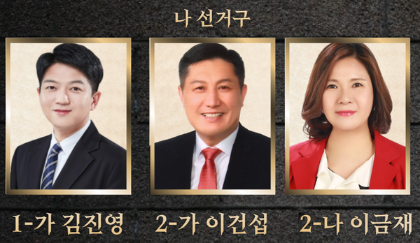 시흥시의원 나 선거구