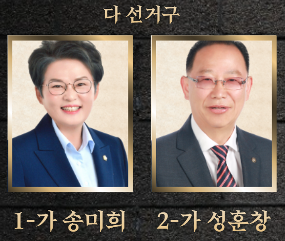 시흥시의원 다 선거구