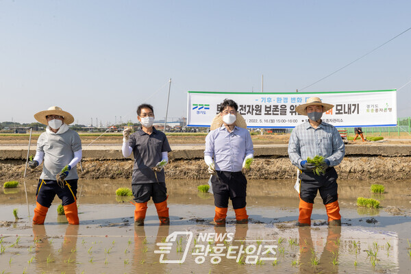 토종 벼 모내기 시연 행사(제공=경기도) 토종 벼 모내기 시연 행사(제공=경기도)