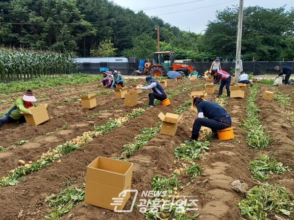  생활개선회 감자기증(사진제공=의왕시)