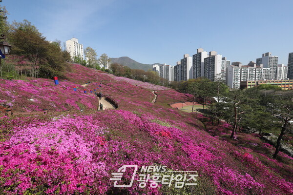  철쭉동산(사진제공=군포시)