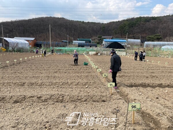  주말농장(사진제공=의왕시)