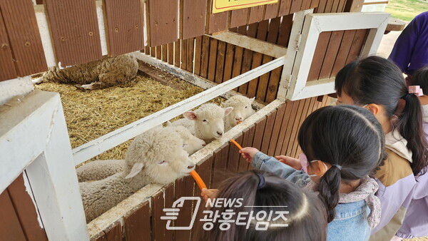  청소년체험프로그램(사진제공=의왕시)