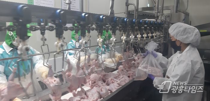 가금검사팀(미생물 시료채취)