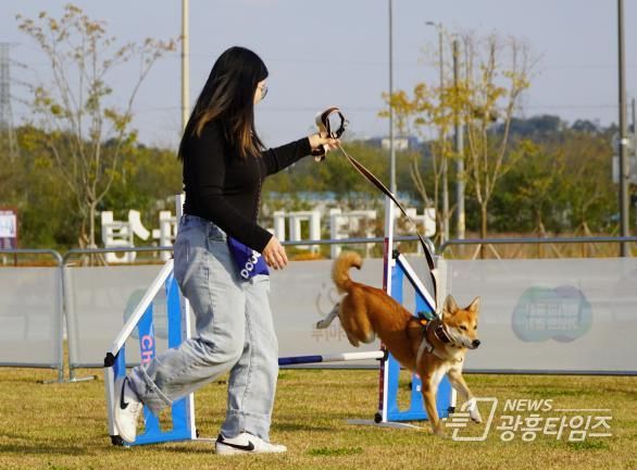 반려동물 문화교실 운영