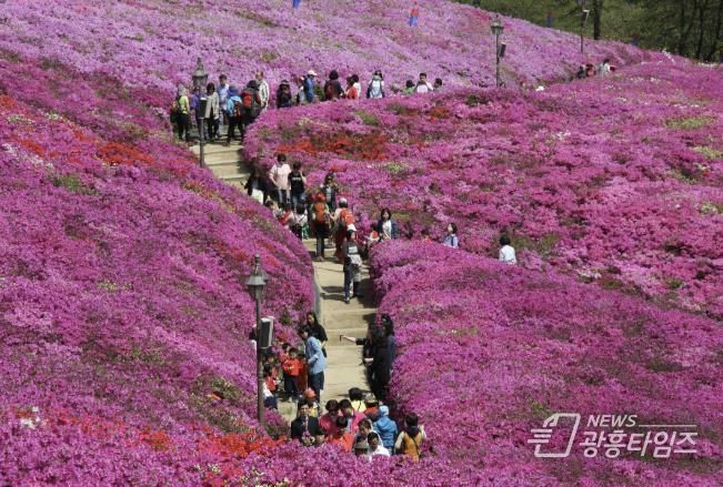 철쭉동산