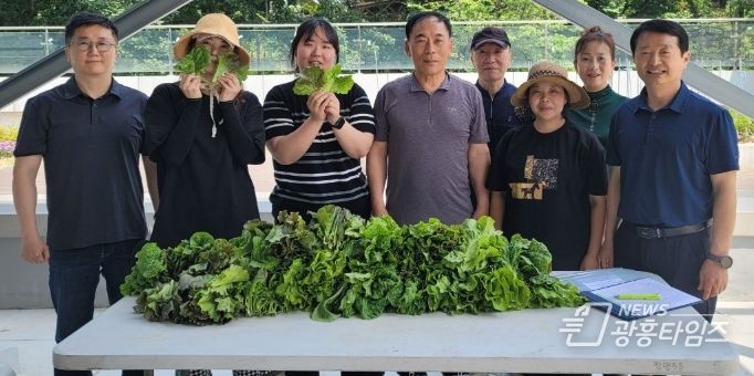 광명시 광명5동 지역사회보장협의체는 지난 26일 너부대 옥상 텃밭에서 두 번째로 수확한 유기농 상추를 관내 복지사각지대에 놓인 이웃들에게 전달했다.