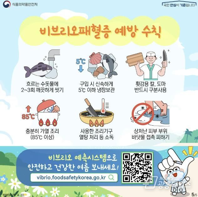 비브리오패혈증 예방 수칙 안내