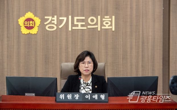 경기도의회 이애형 의원