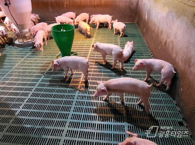 양돈장 사진(행복농장)