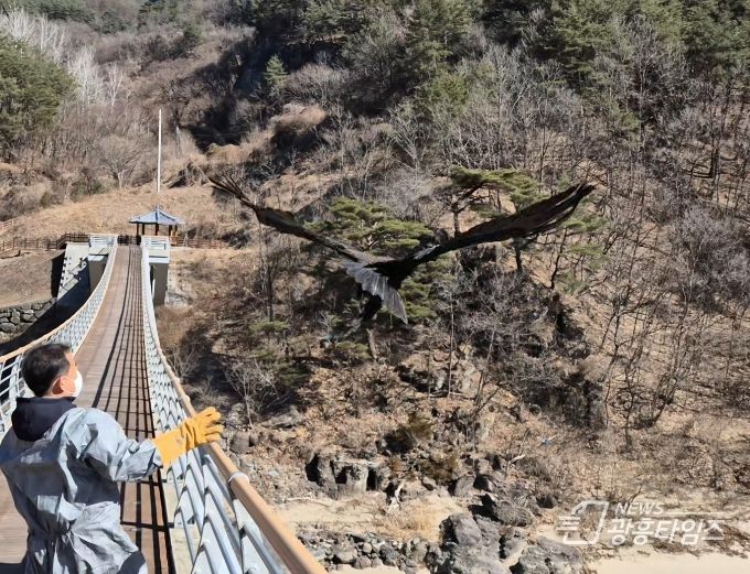 치료·재활 거쳐 자연 복귀