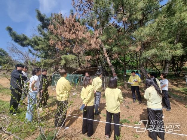 시흥시 첫 소나무재선충병 발생